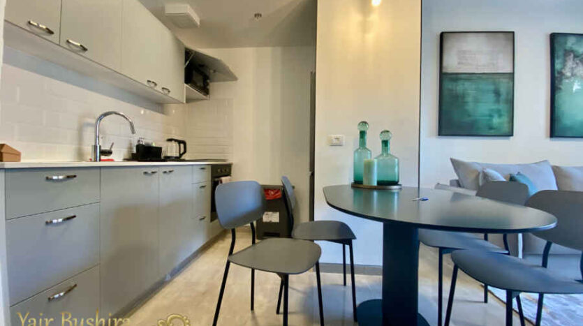 City Center - Gorgeous Furnished 1 BR apartment